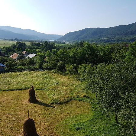 Pensiunea Adeluta Apartament Călimăneşti Bagian luar foto