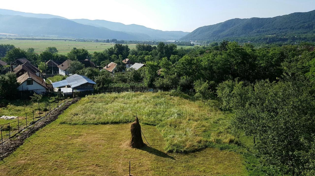Pensiunea Adeluta Apartament Călimăneşti Bagian luar foto