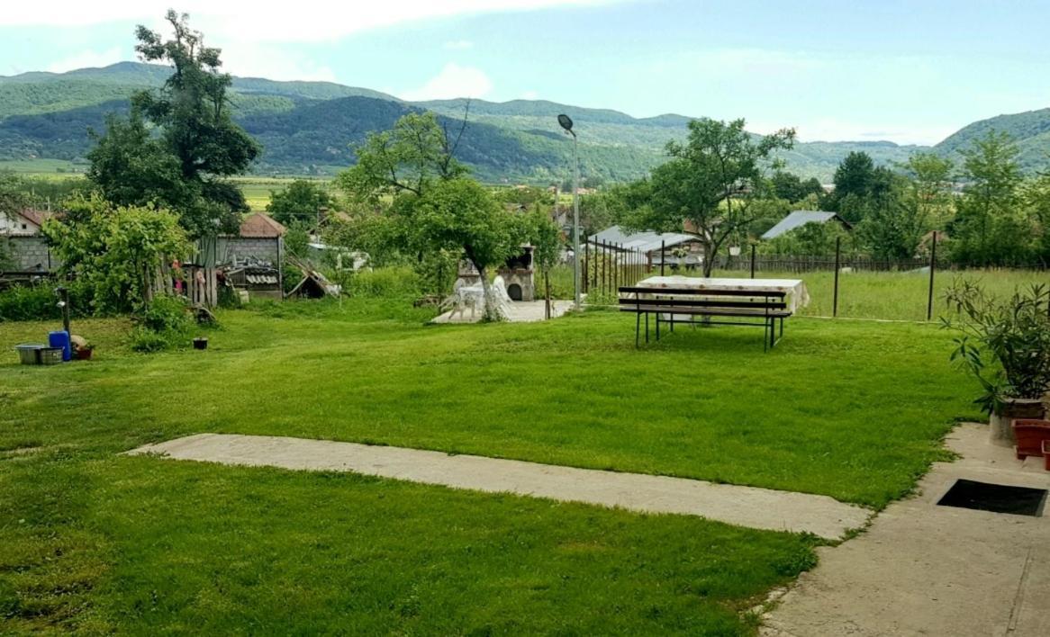Pensiunea Adeluta Apartament Călimăneşti Bagian luar foto