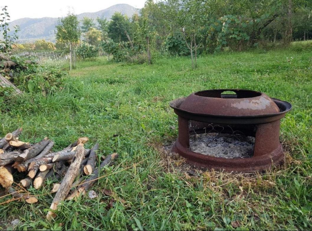 Pensiunea Adeluta Apartament Călimăneşti Bagian luar foto